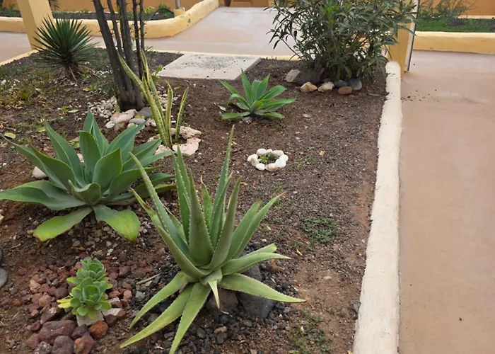 Apartamento Sonia Costa Calma