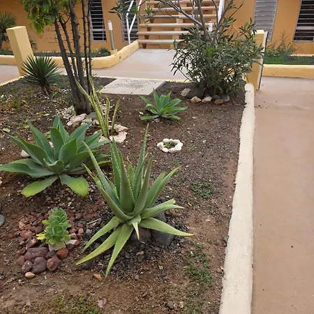 Apartment Sonia Costa Calma